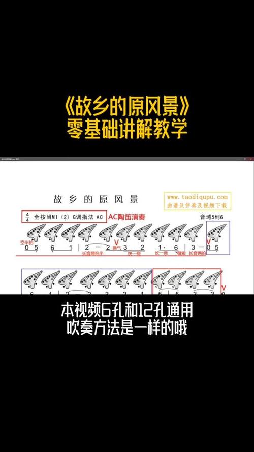 陶笛零基础入门教程视频
