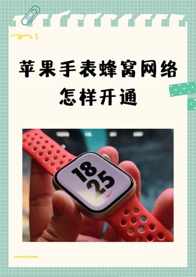 苹果手表蜂窝版需要收费吗