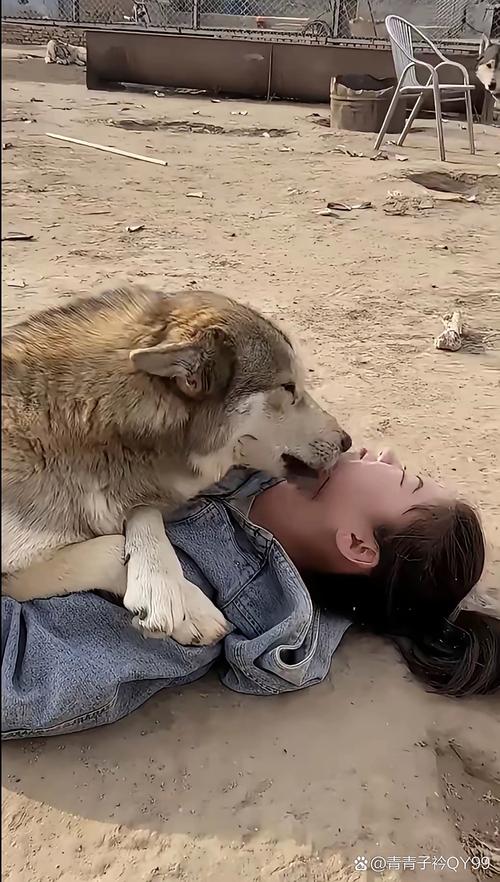 美女打狗头