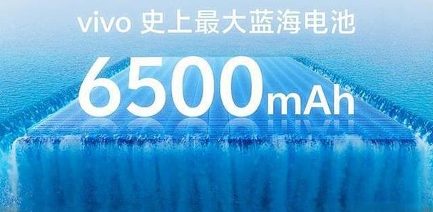 vivo手机电池保修多久