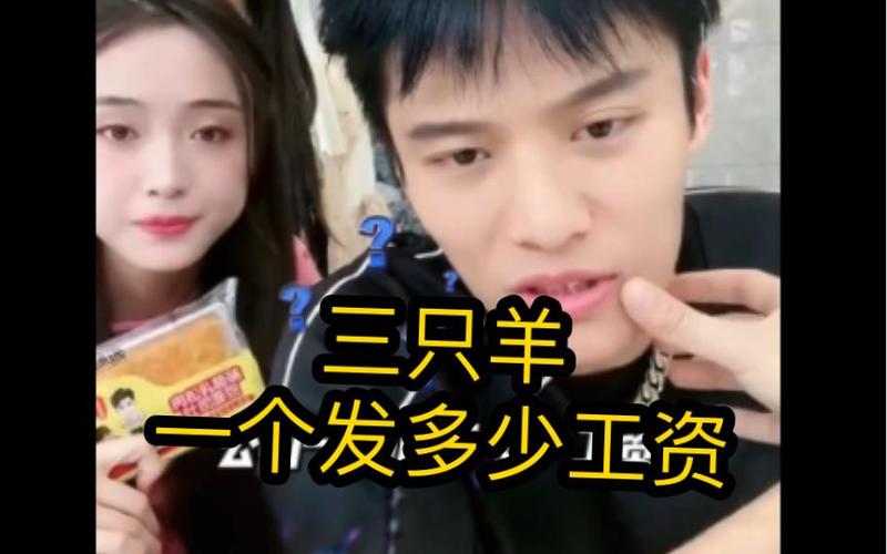 三只羊网络一个月工资