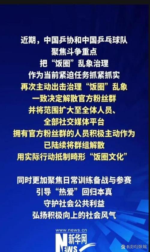 饭圈说的固屏是什么意思