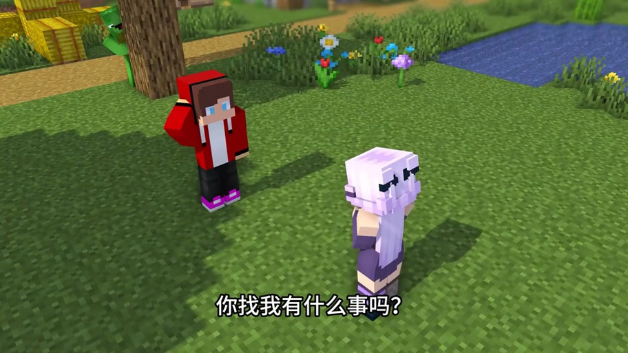 在我的世界