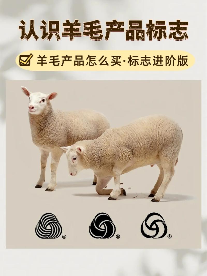 薅羊毛线包群