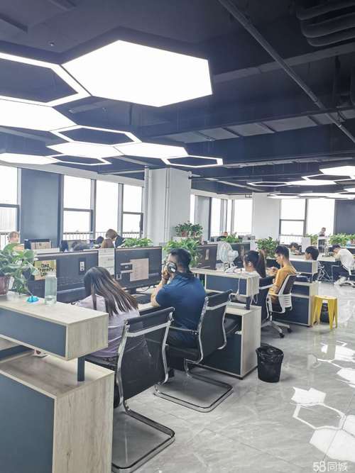 河北掌星文化传媒有限公司截图