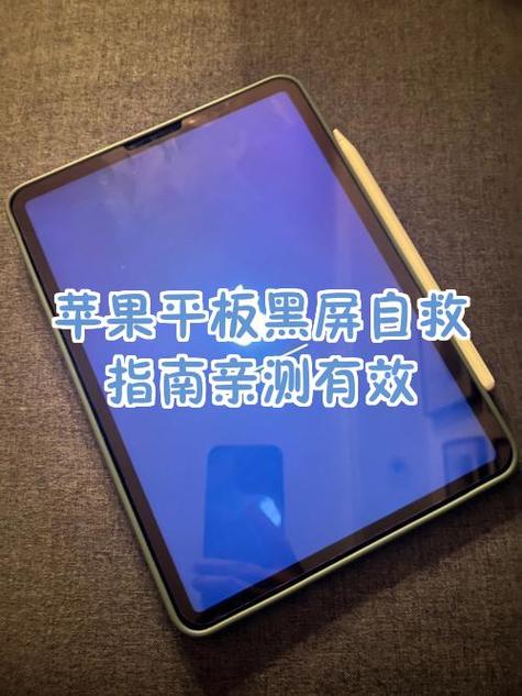 苹果平板黑屏了打不开怎么办游戏截图