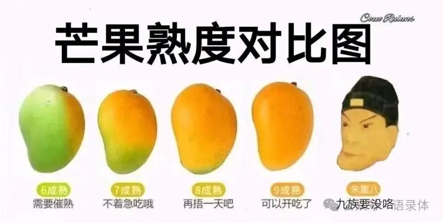 莫名其妙就开通了芒果包缩略图