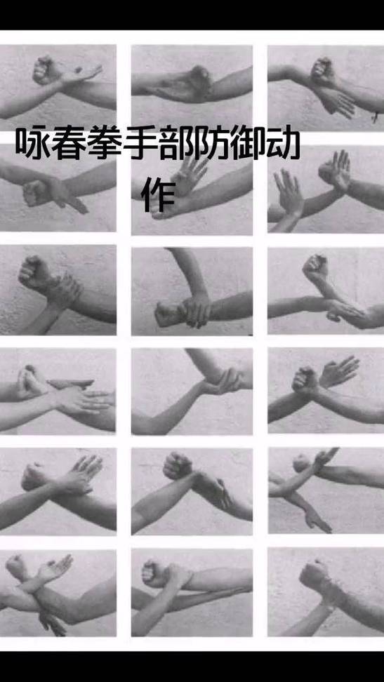 咏春拳13招基本手法