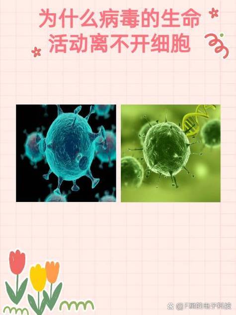 核酸合成需要能量吗