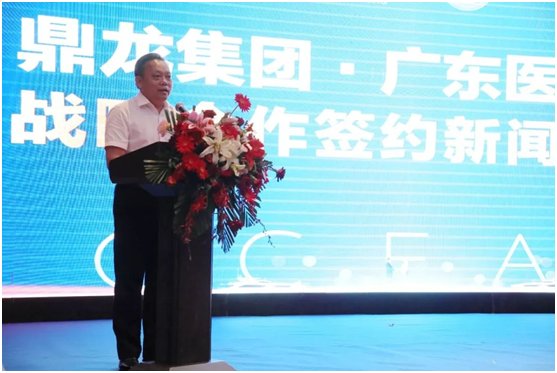 广东鼎龙