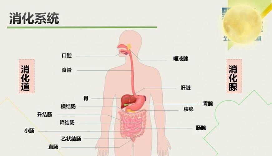 最近好多人上吐下泻