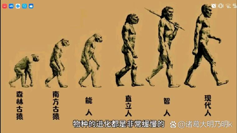 人是猿变的吗