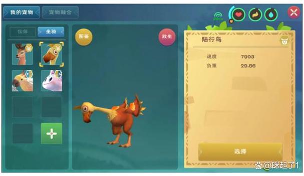 创造与魔法养鸡产什么
