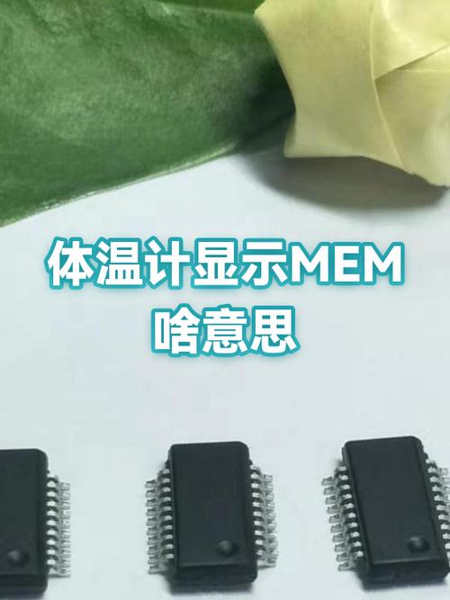 MEM的中文意思