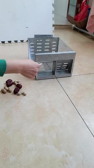 目前最先进的捕鼠器