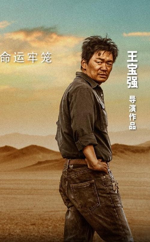 王宝强与导演的合作经历