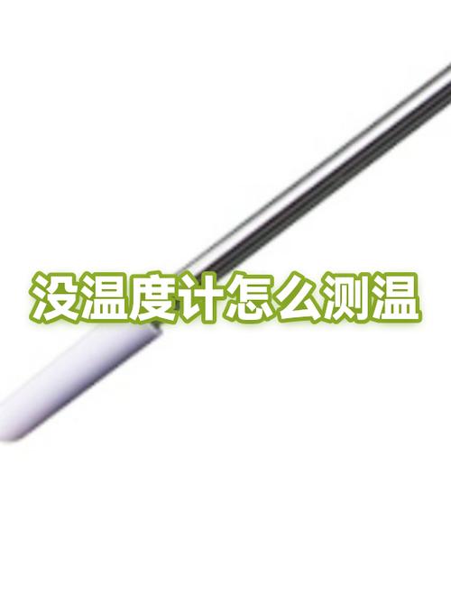家里没有温度计如何测试温度截图