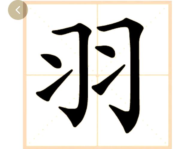 少羽直装v6.0