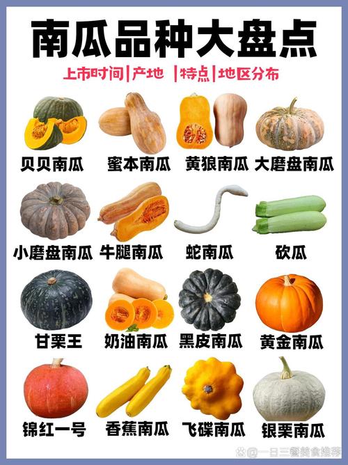 南瓜还有什么名字