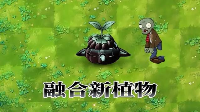 pvz 主要资源截图