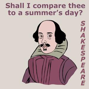allthesummerworld