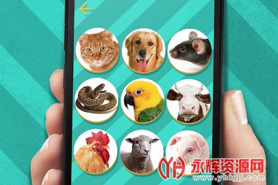 动物翻译器破解版下载