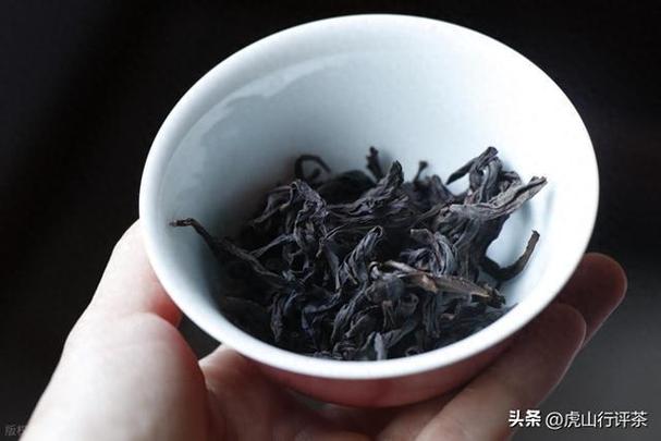 科技枞