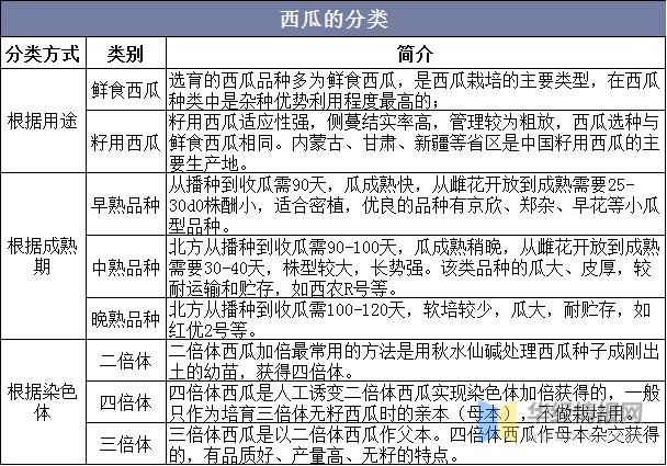 2020年西瓜前景