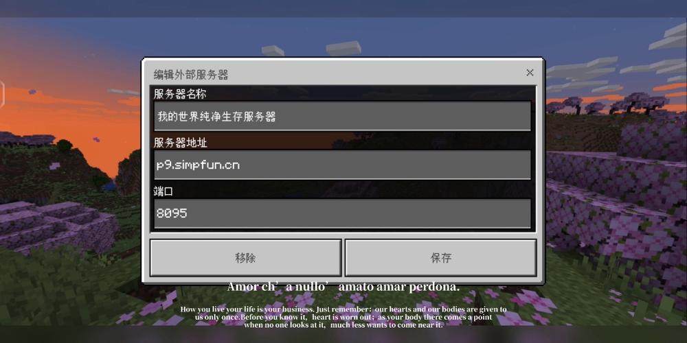 我的世界国际版生存服务器