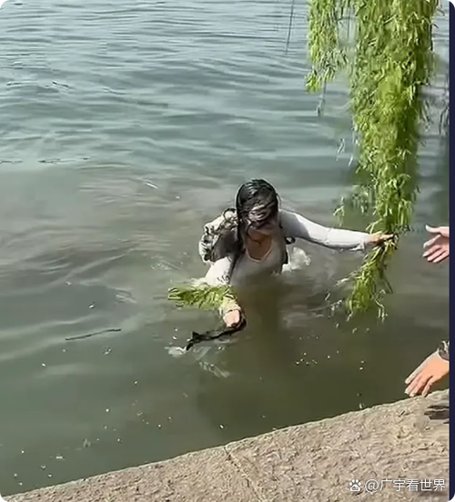 不小心掉水里了