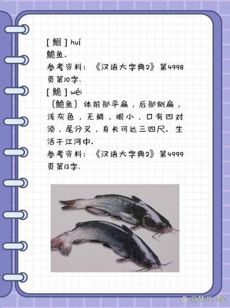 鲻鱼怎么读