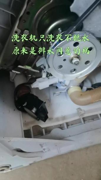 三洋洗衣机不脱水怎么解决