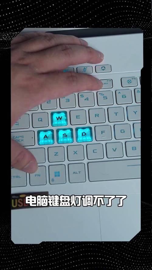 Ps/2键盘灯亮,但不能使用