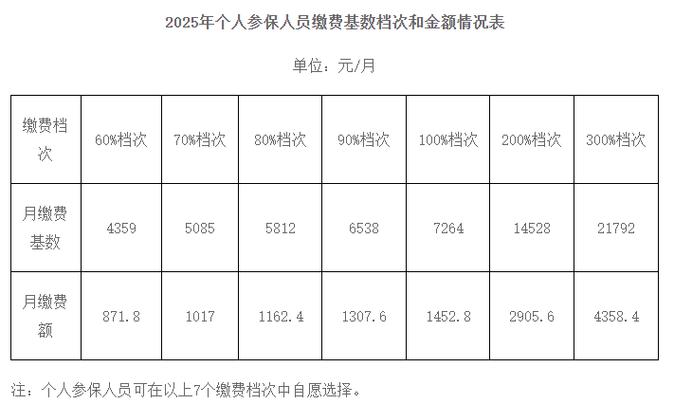 辽宁养老保险个人缴费多少