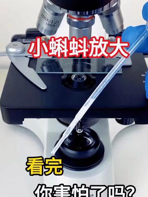 图片变大