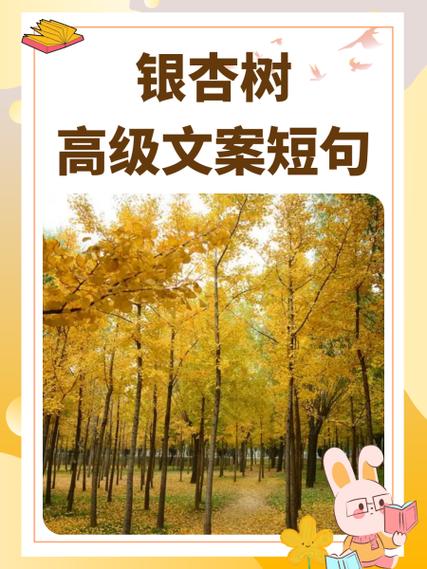 树林漫步文案短句缩略图