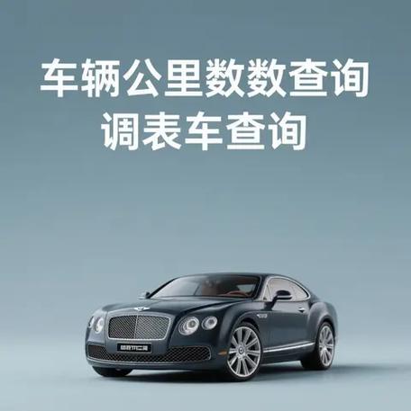 如何查询汽车真实公里数图标