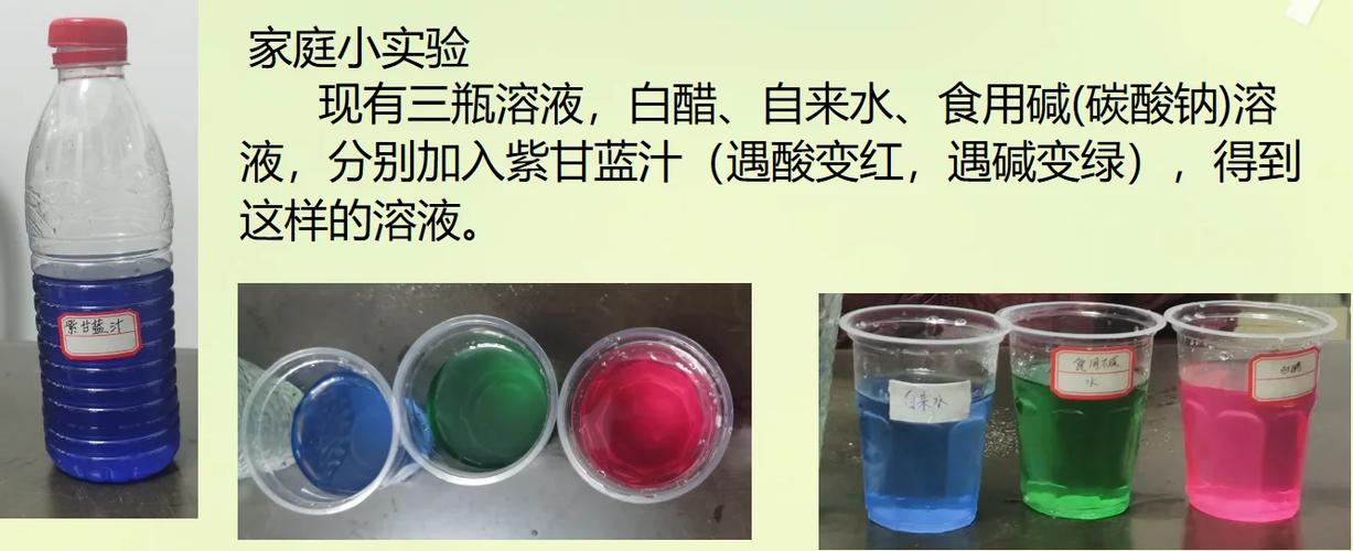 紫甘蓝汁变黄