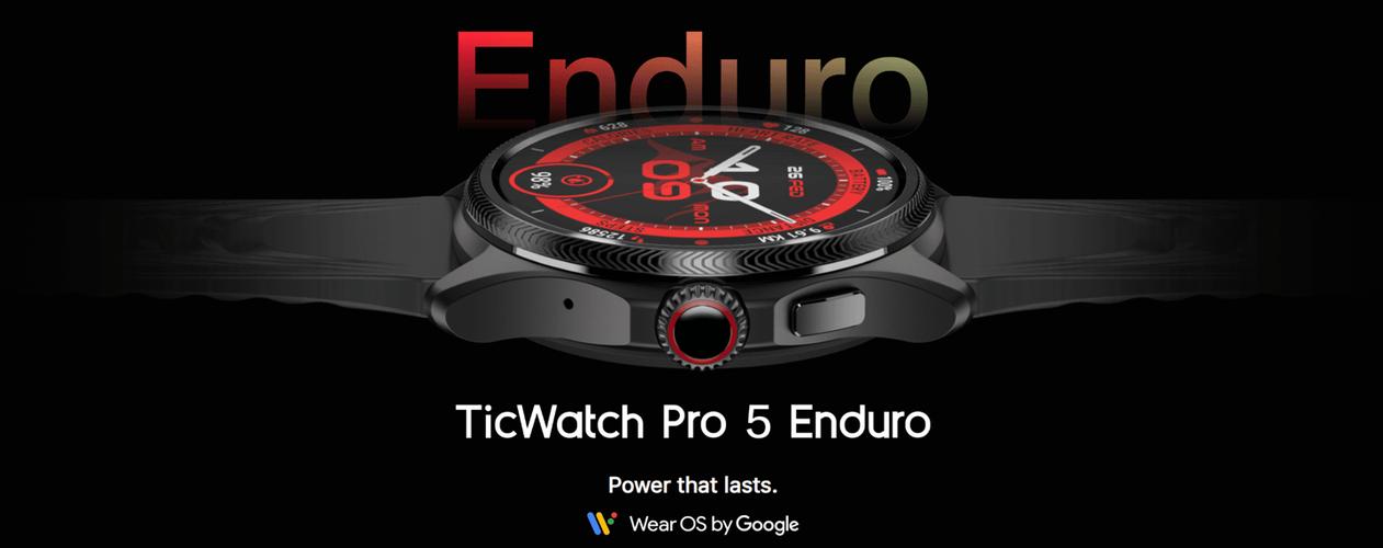 ticwatch pro 国际版截图