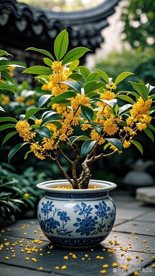 桂花的寓意和象征缩略图