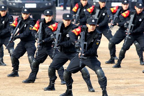 特警一般执行什么任务