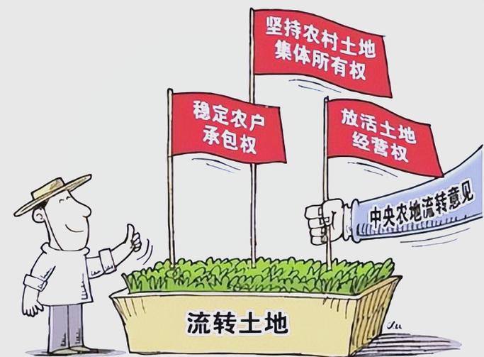 承包土地的赚钱情况