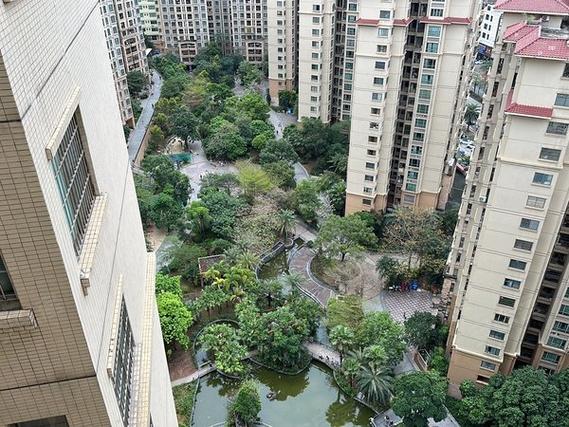 广州新塘中森茗苑怎么样