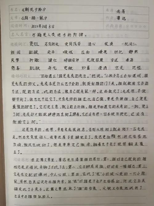 培根随笔读书笔记10篇截图