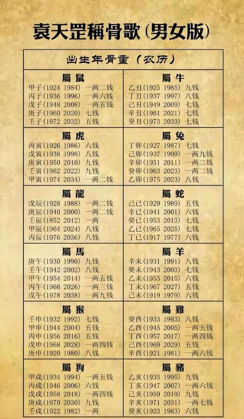 术数大师截图