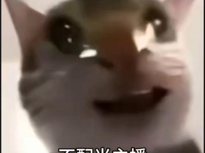 主播常用的表情包图标