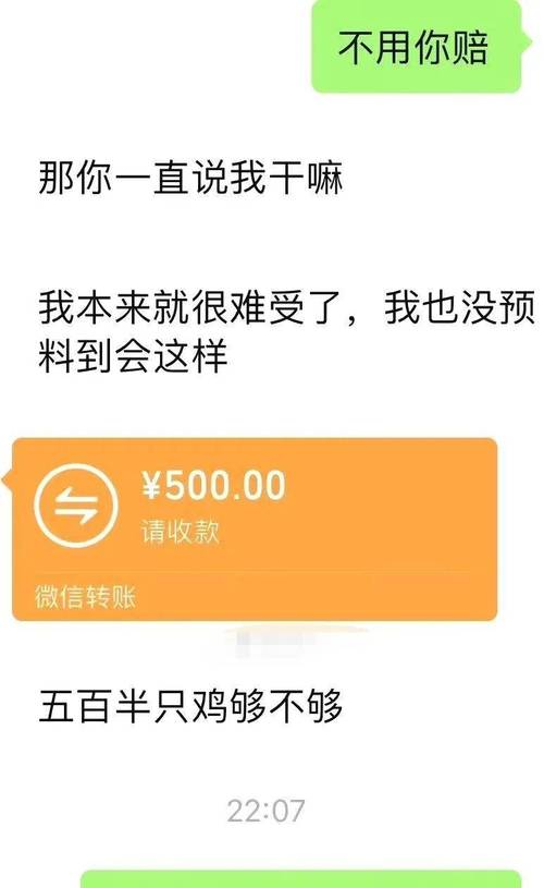 转账500图片截图图标