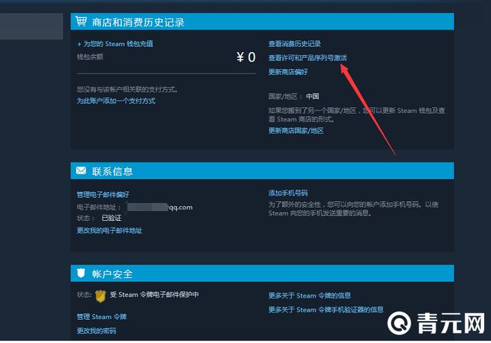 steam账号记录查看方法游戏截图