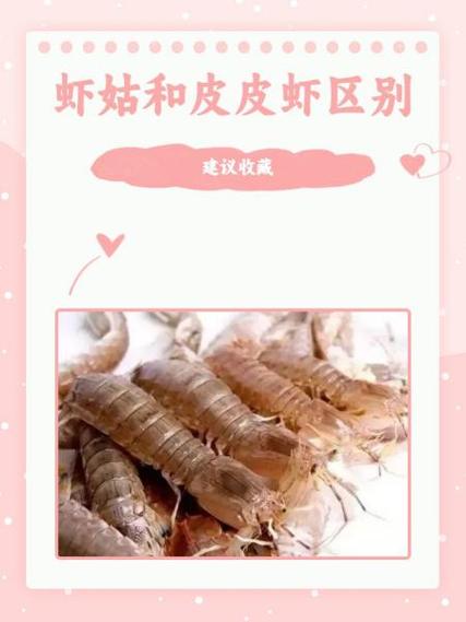 皮皮虾是今日头条的吗