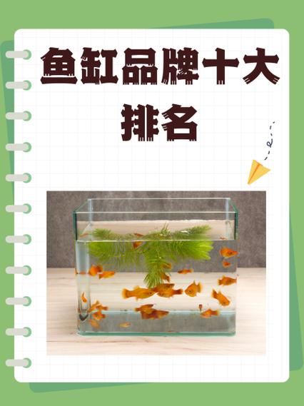 鱼缸品牌哪个好